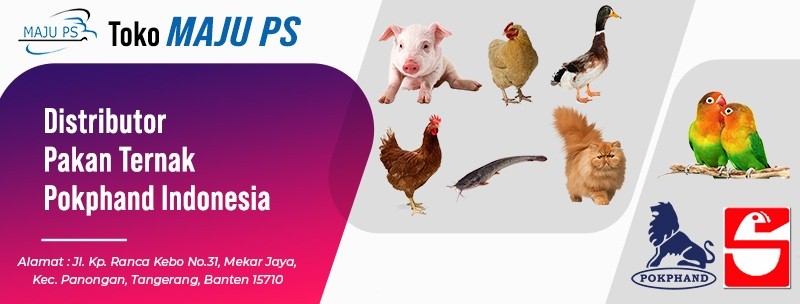 Distributor Pakan Ternak Pokphand Charoen Indonesia